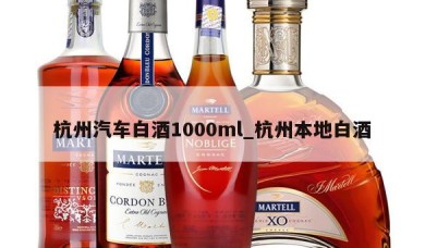 杭州汽车白酒1000ml_杭州本地白酒